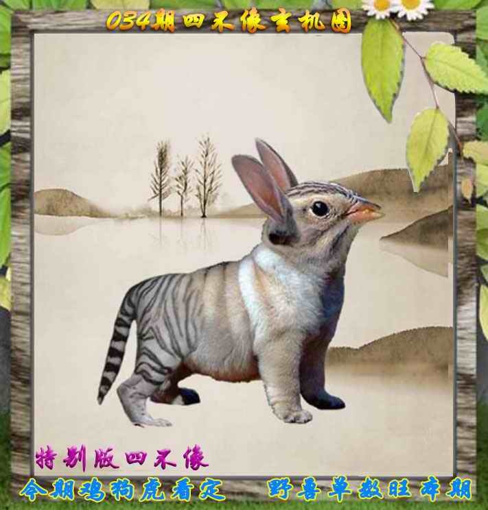 034期四不像特别版[图]