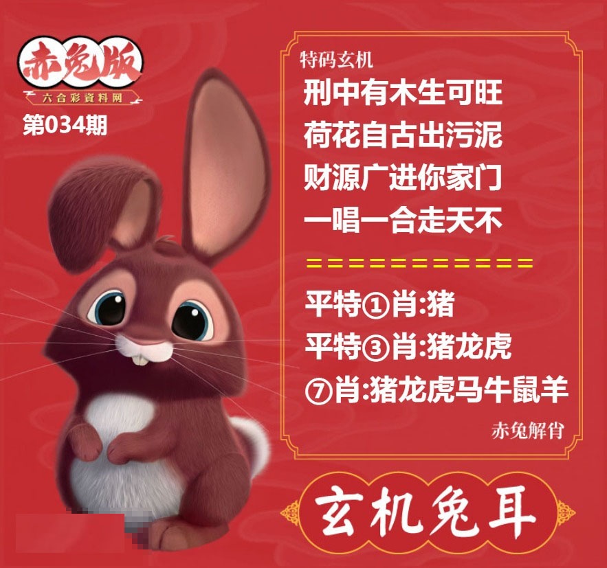 034期玄机兔耳[图]