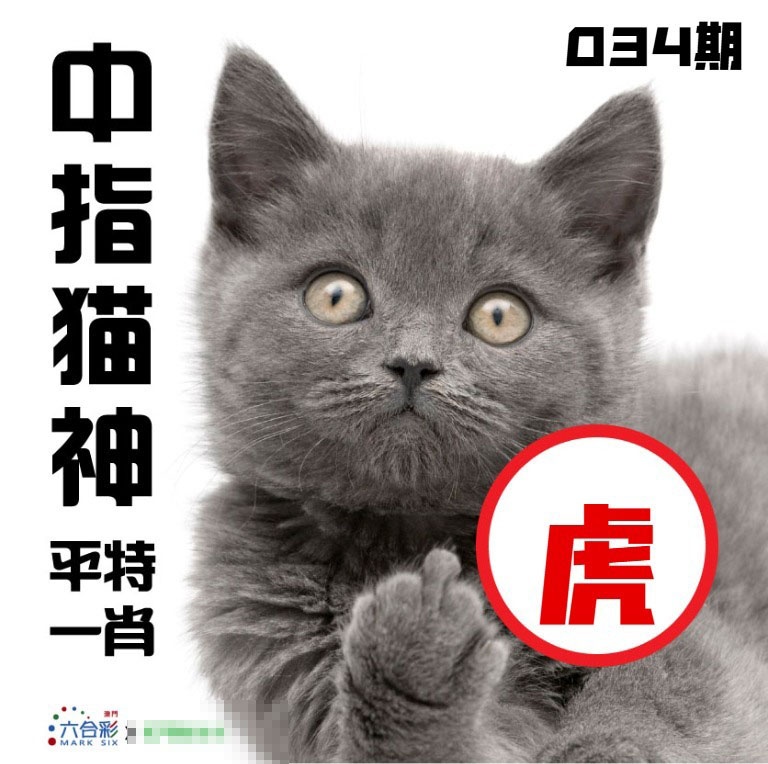 034期中指猫神[图]