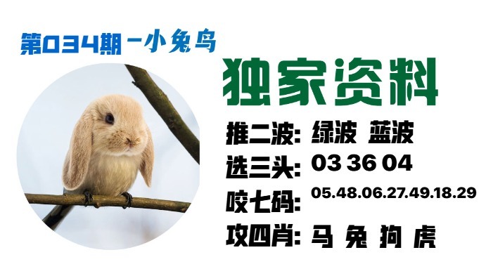 034期小兔鸟[图]